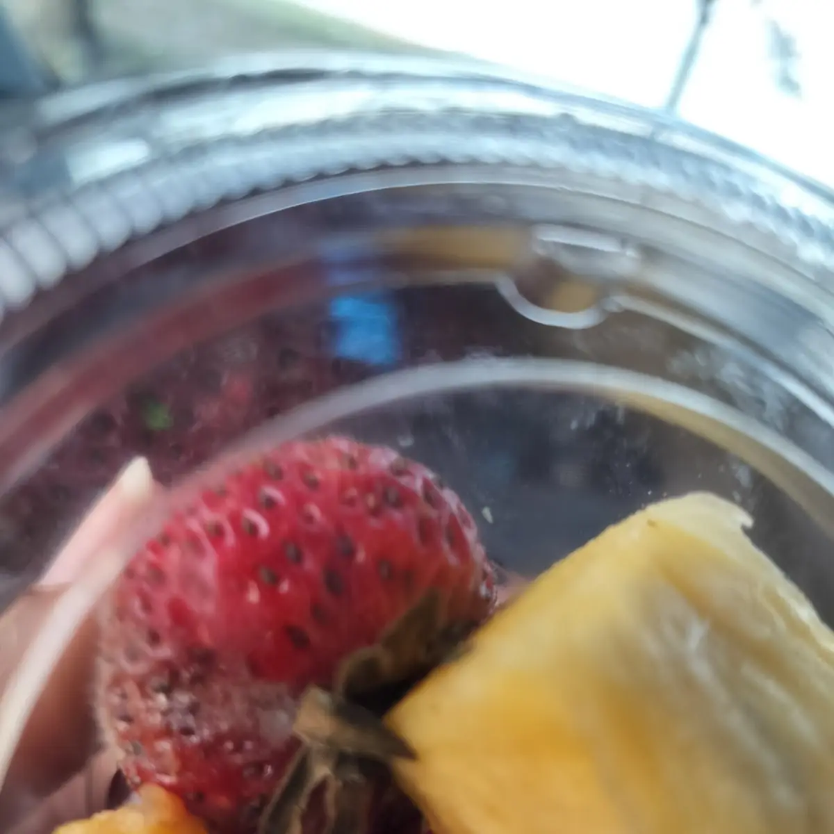 Fruit Cup