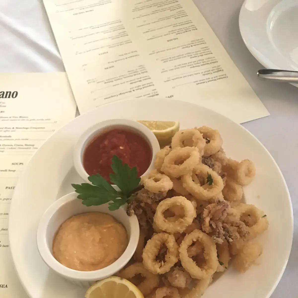 Fried Calamari