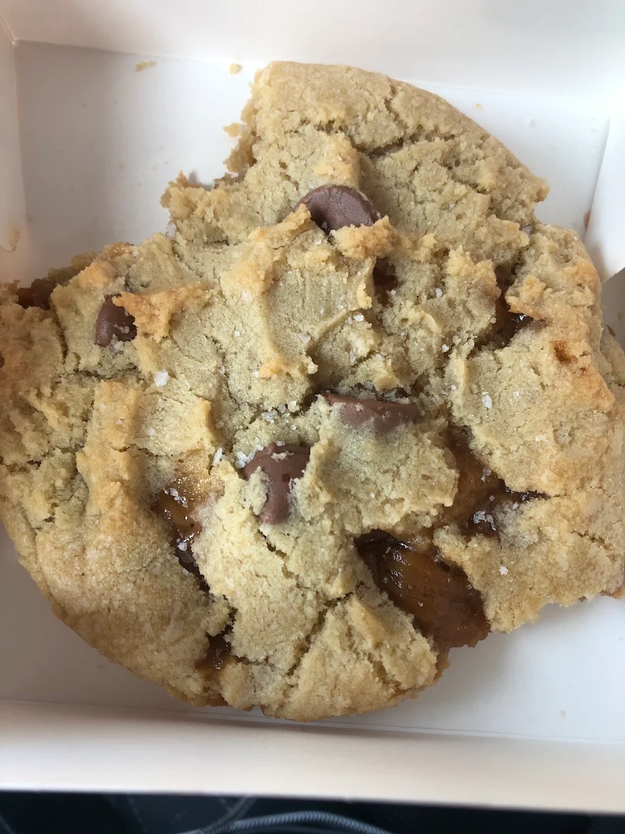 Chocolate Chip Cookie