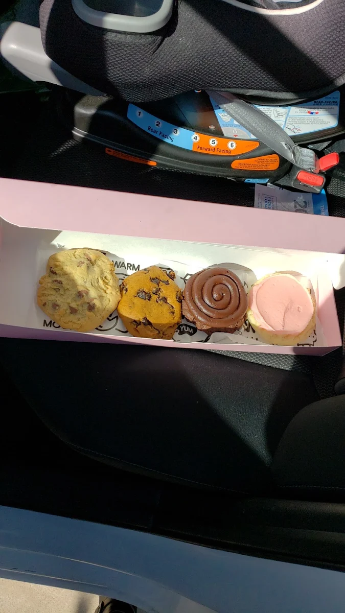 Chocolate Chip Sugar Cookie Pumpkin and Chocolate Cake