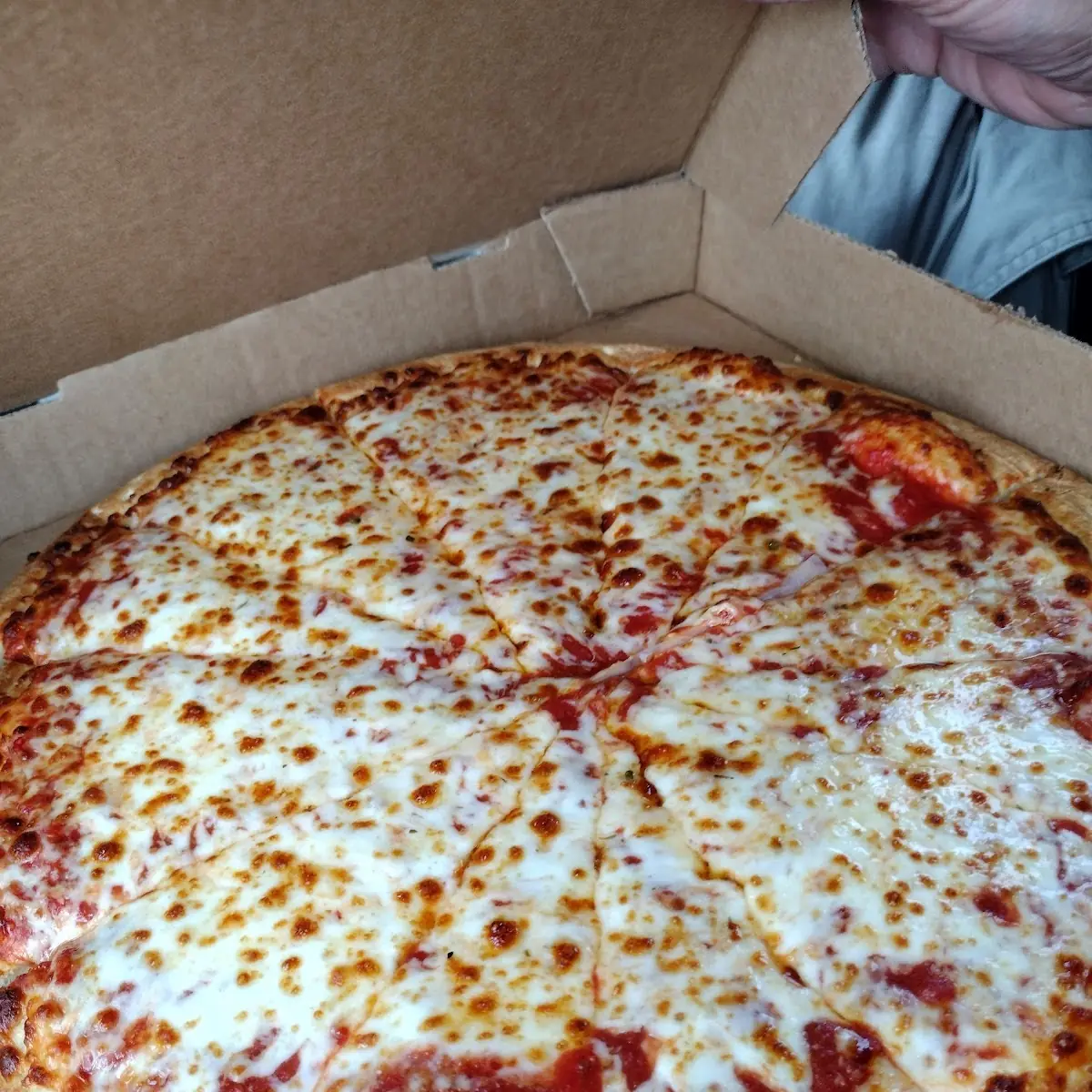 Cheese Pizza Extra Sauce