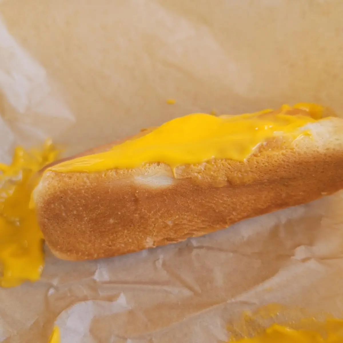 Nacho Cheese Dog