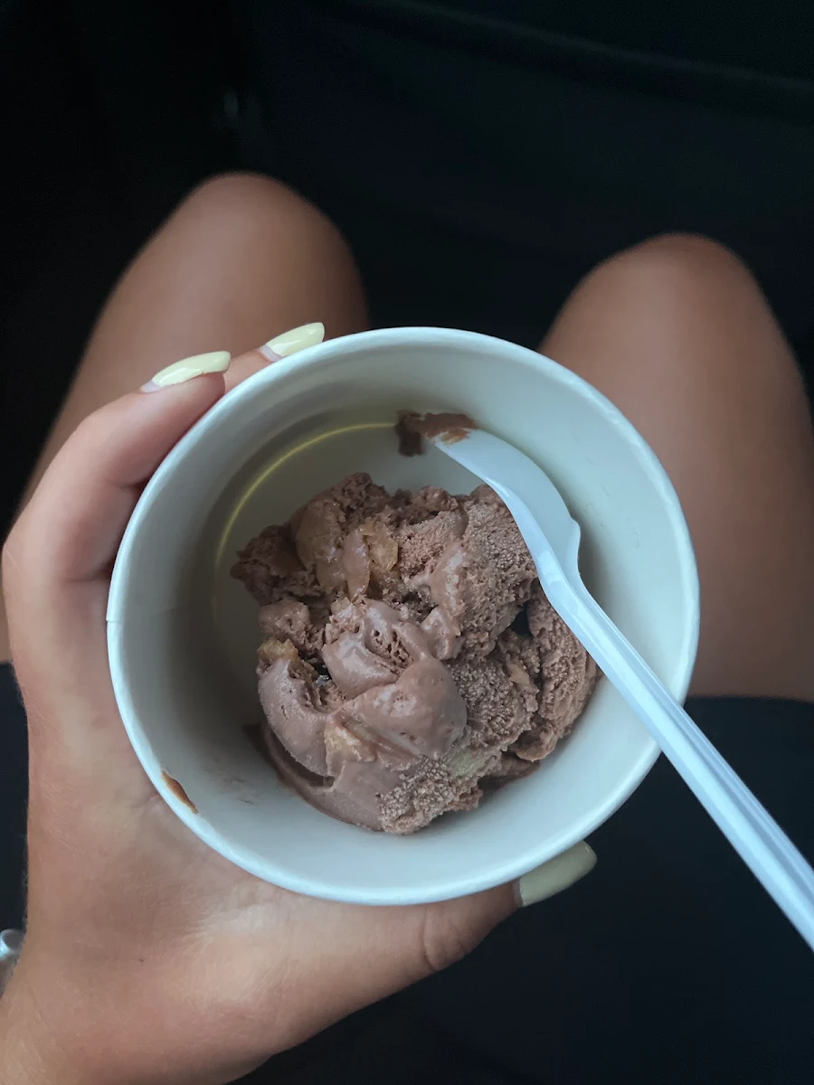 Chocolate Ice Cream