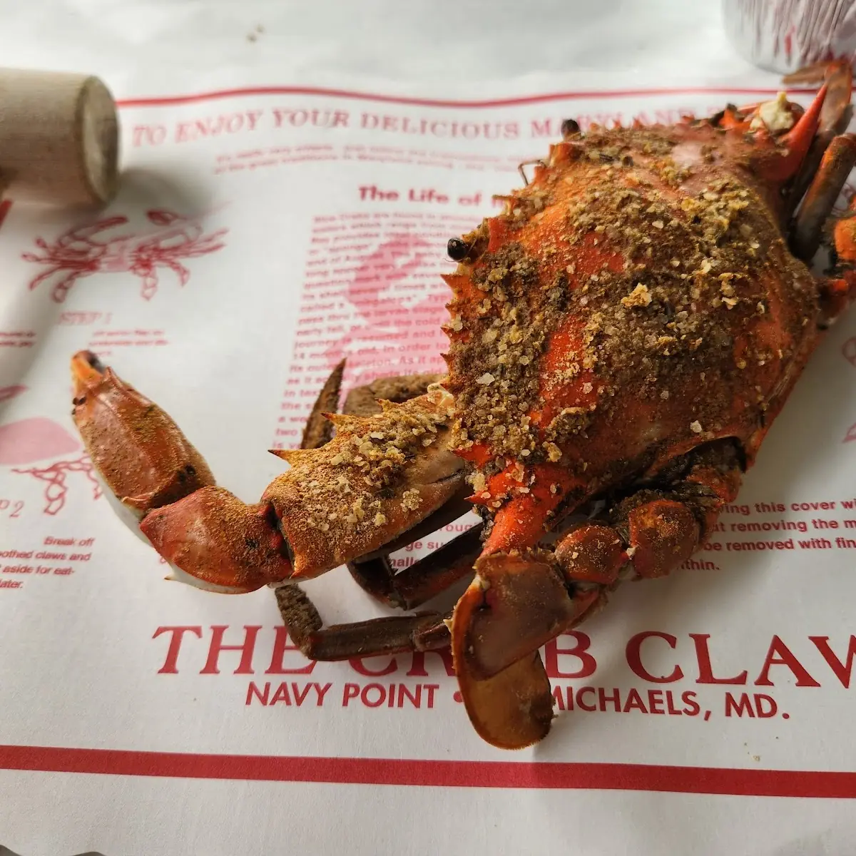 Maryland Blue Crabs