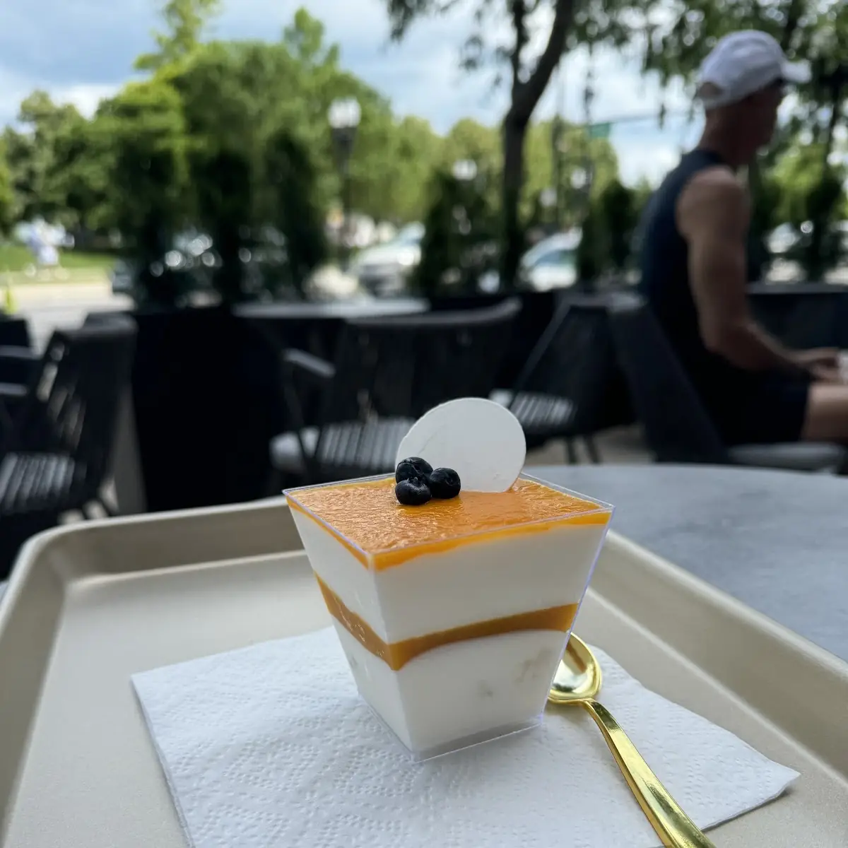 Panna Cotta