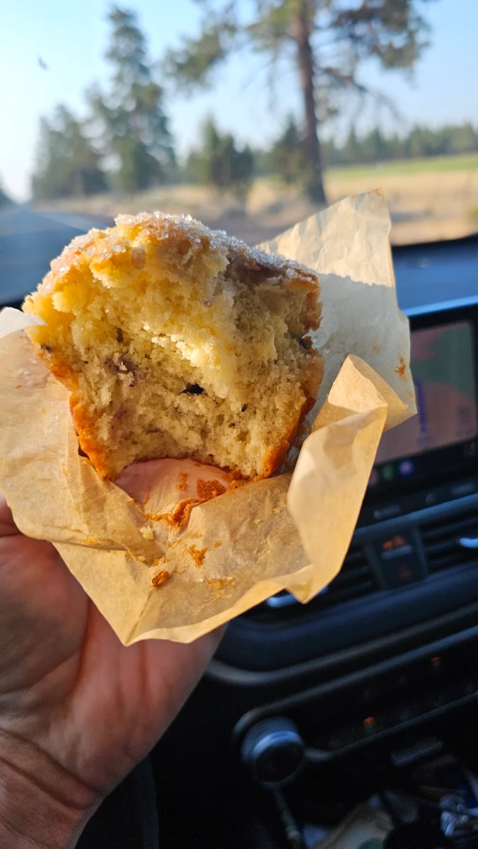 Blueberry Muffin