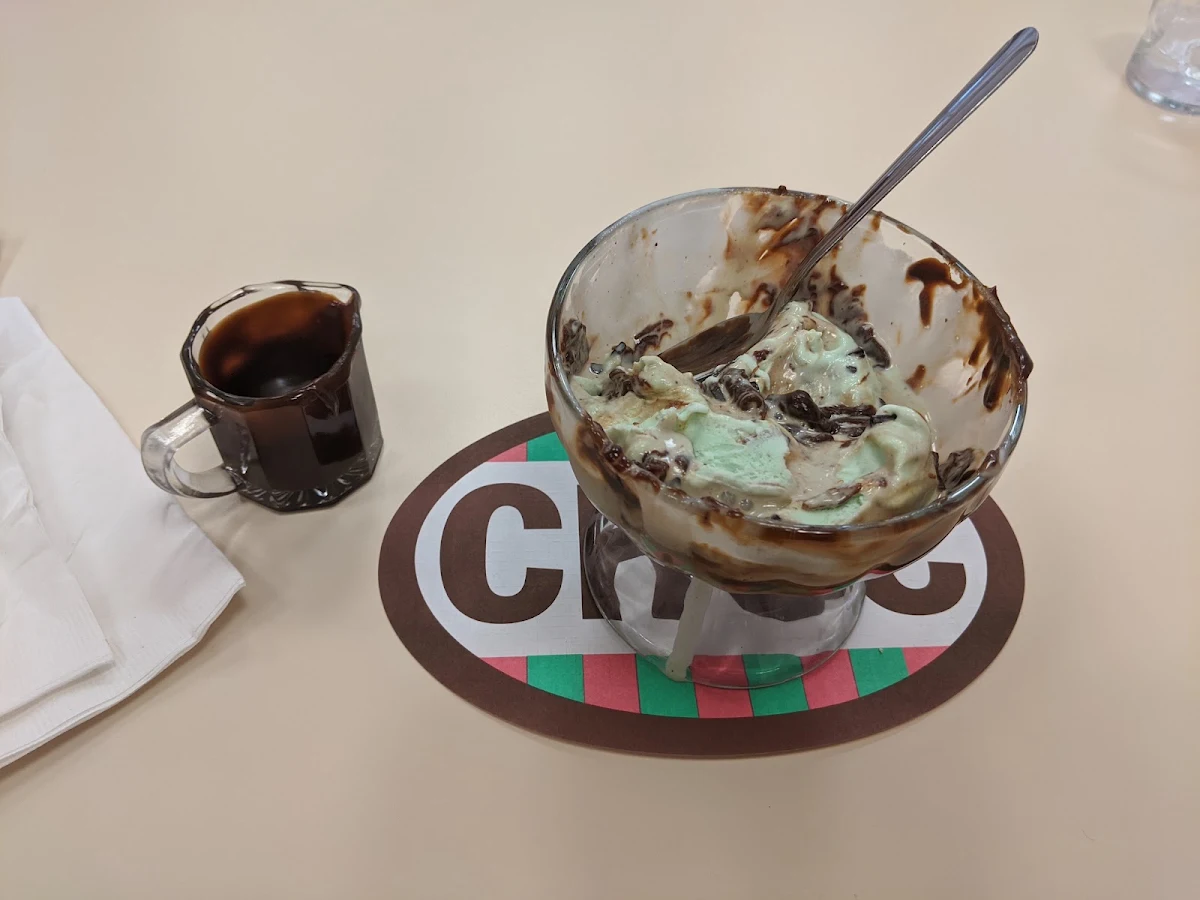 Mint Chocolate Chip with Fudge