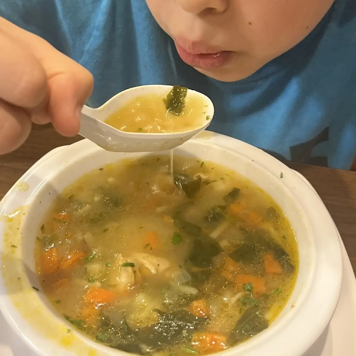 Chicken Noodle Soup