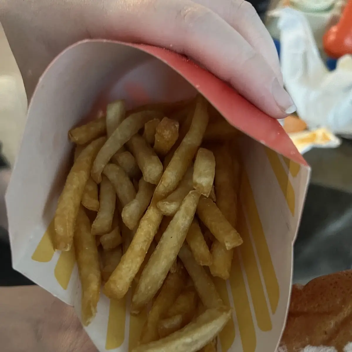 World Famous Fries