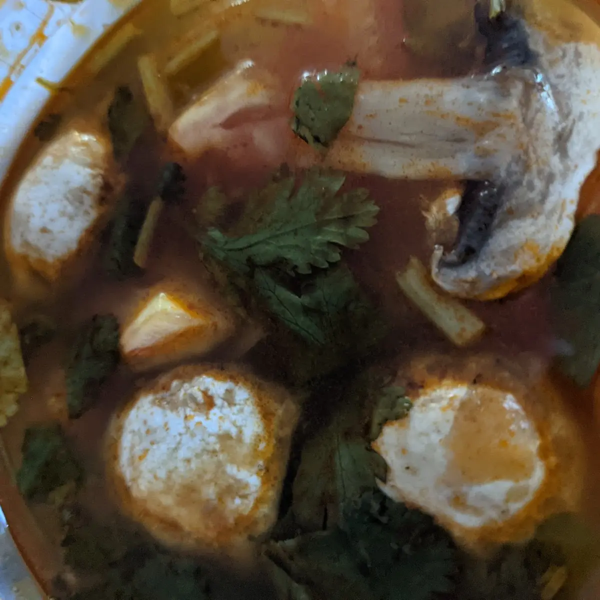 Coconut Chicken Soup