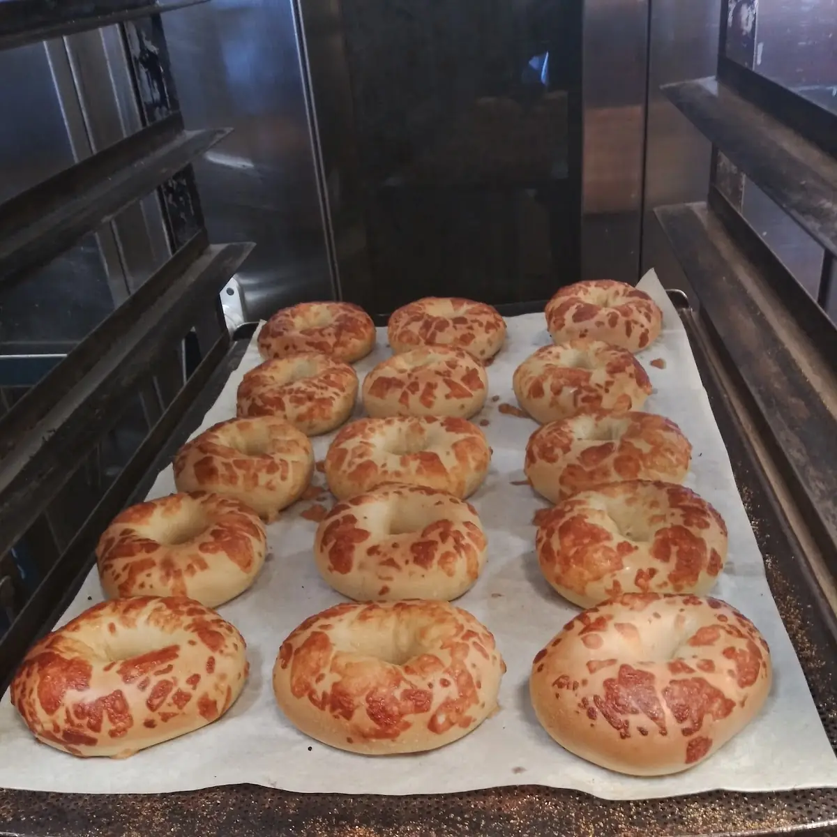 Asiago Bagels