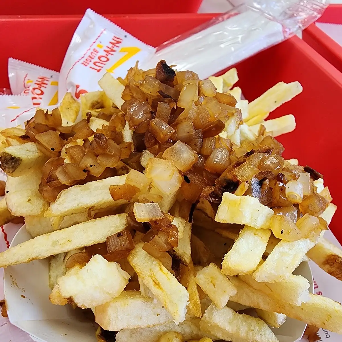 French Fries Grilled Onions