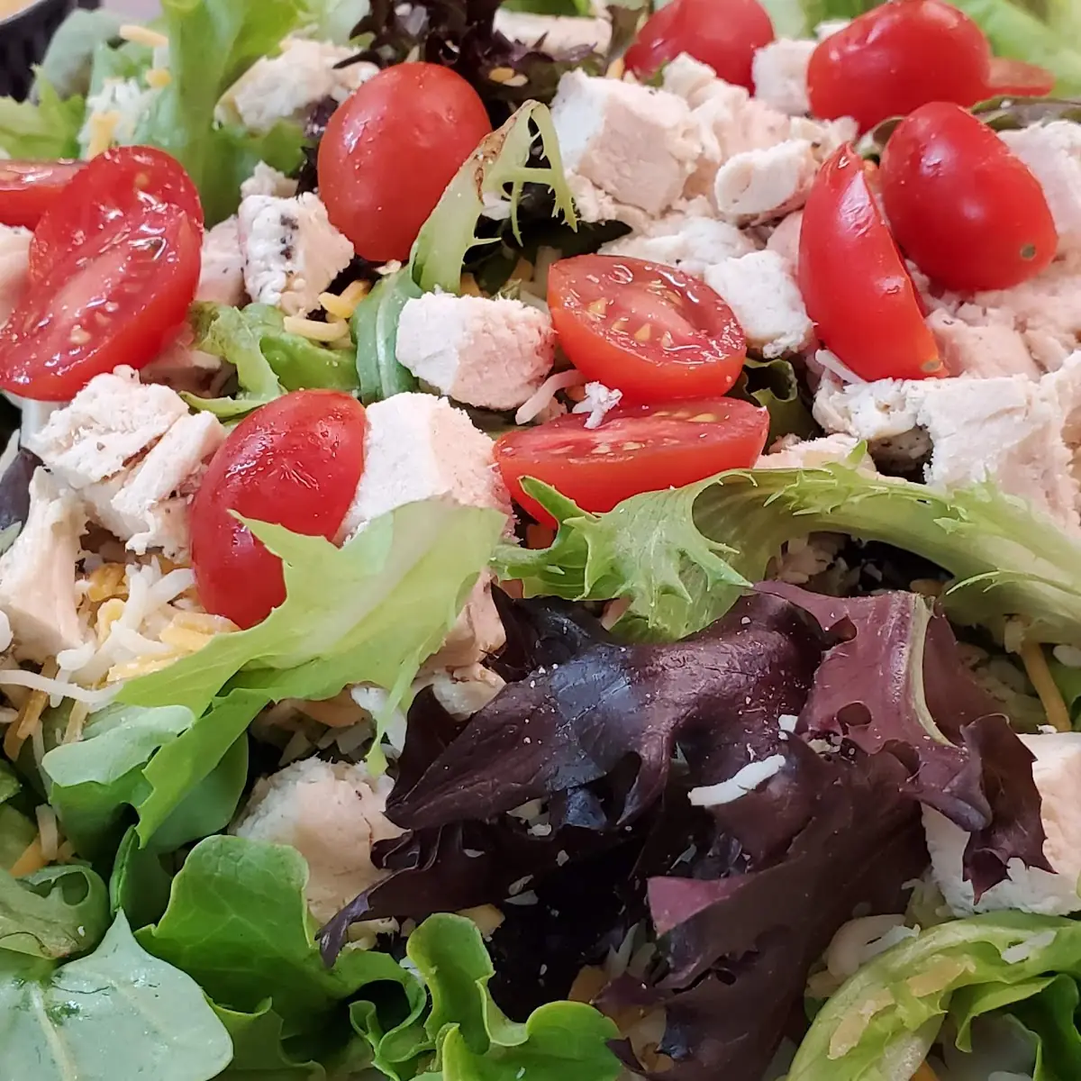 Grilled Chicken Salad