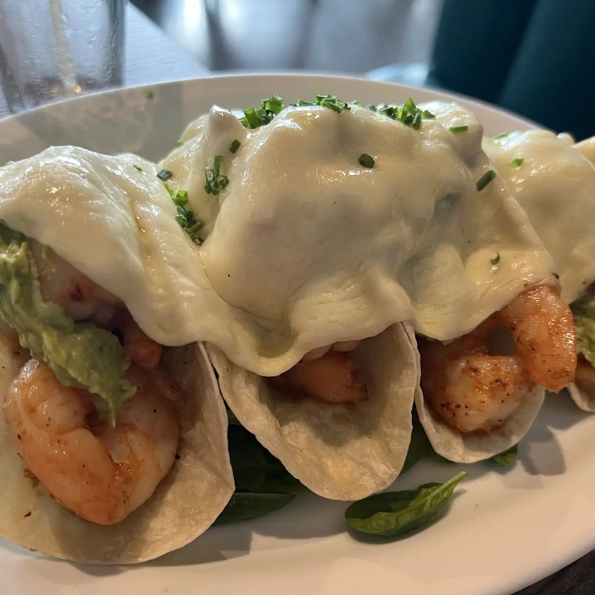 Aguacate con Camarón / Shrimp Avocado