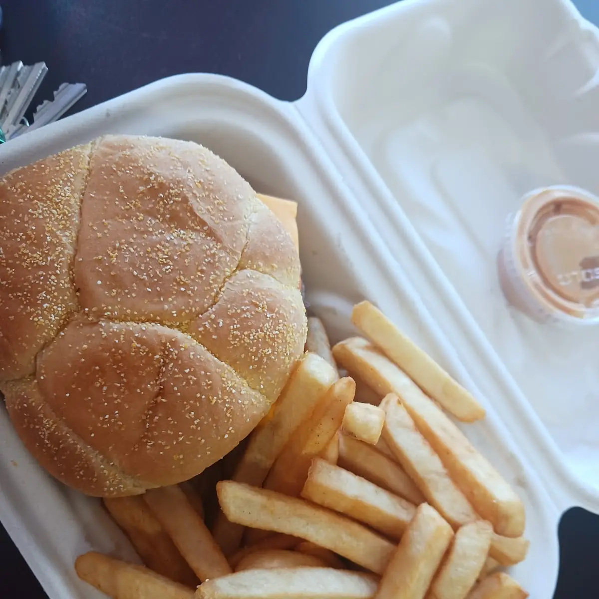 Philly Cheesesteak Sandwich with Fries