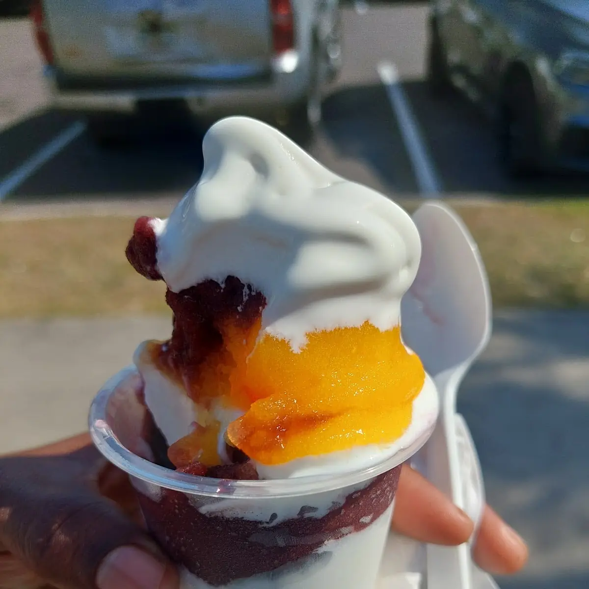 Mango and Blackcherry Gelato