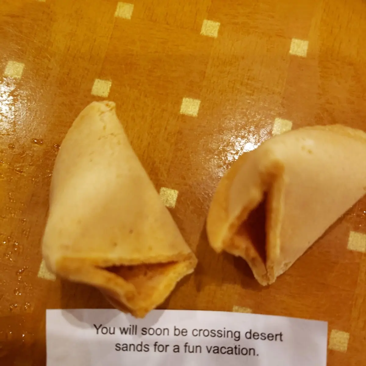 Fortune Cookies 1