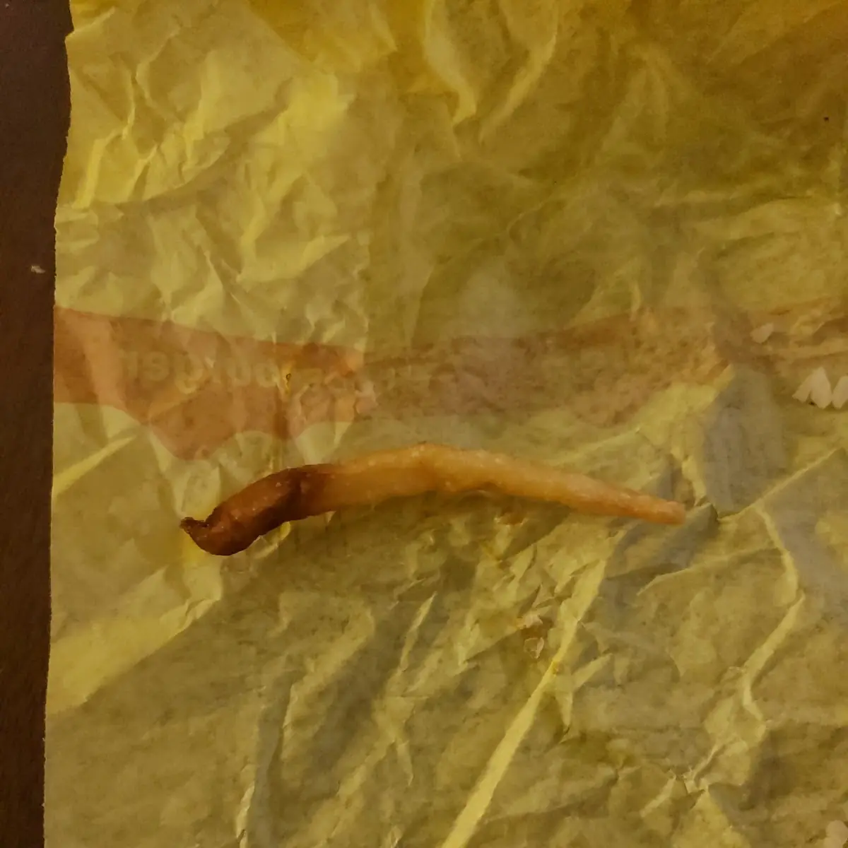 French Fry