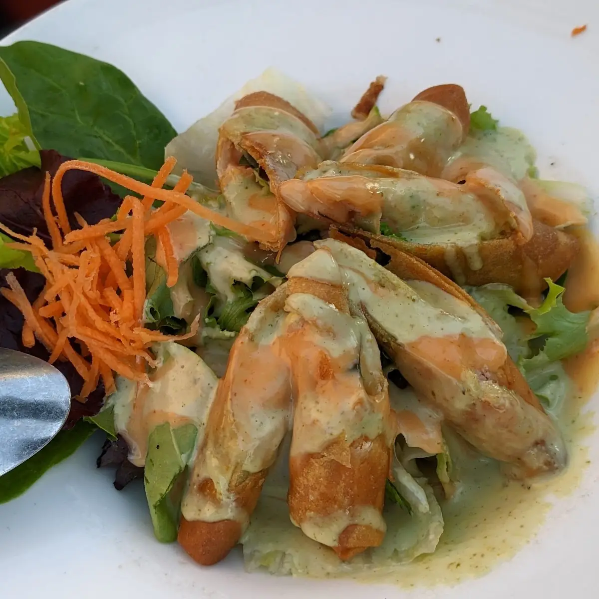 Rolled Salmon Spring Roll