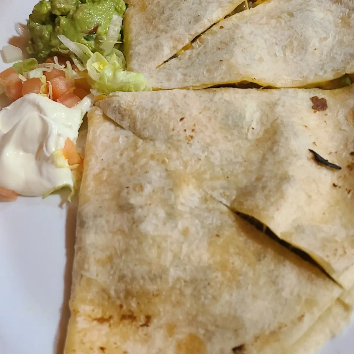 Fajita Quesadilla