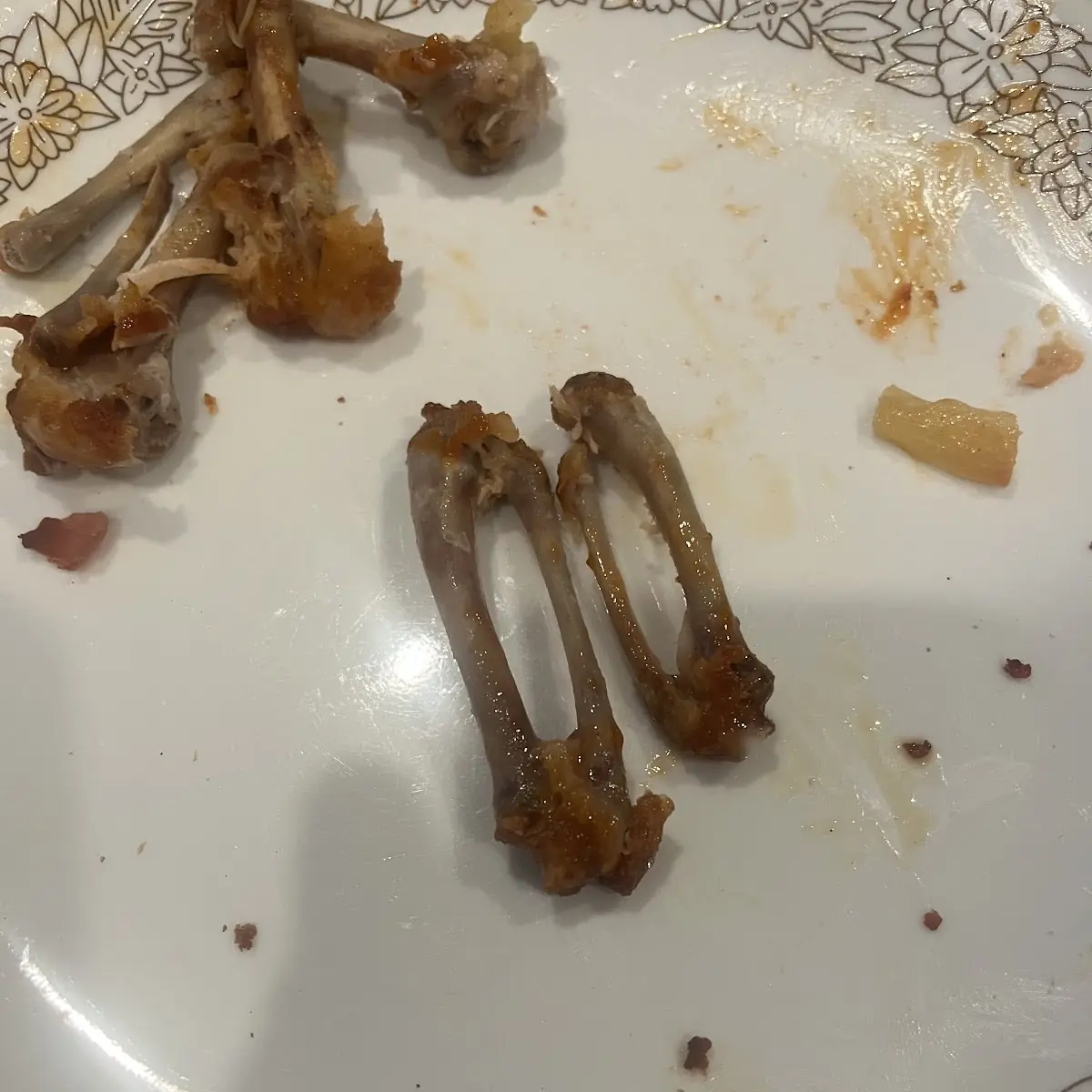Frog Legs