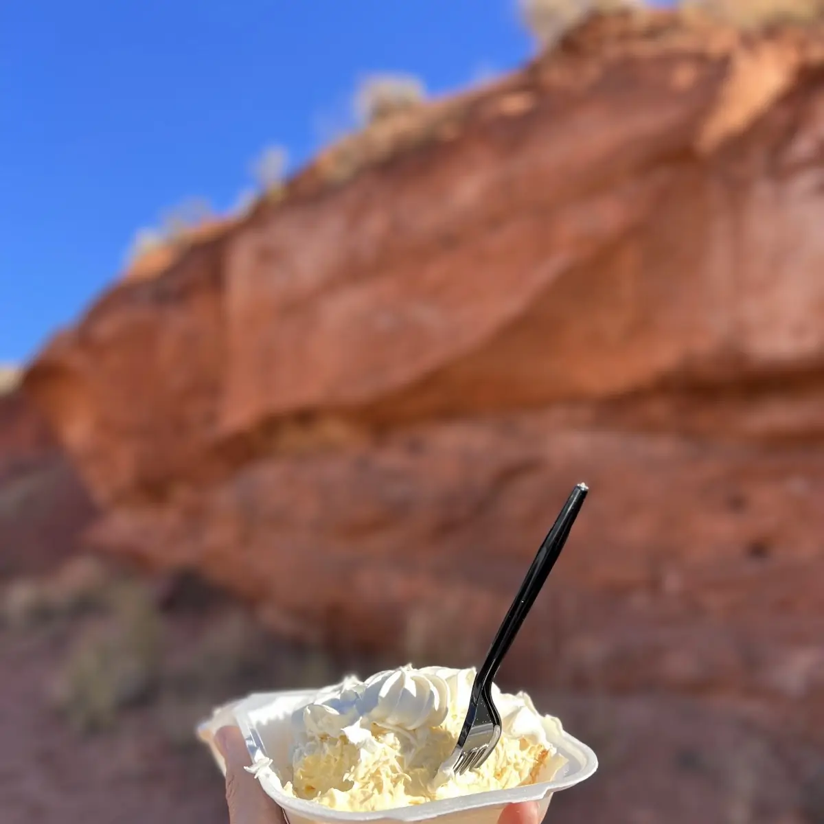 Coconut Cream