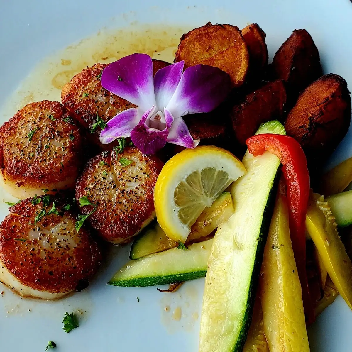 Sweet Corn Scallops