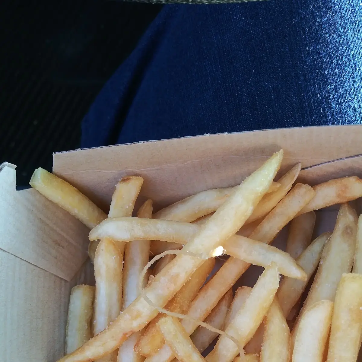 World Famous Fries