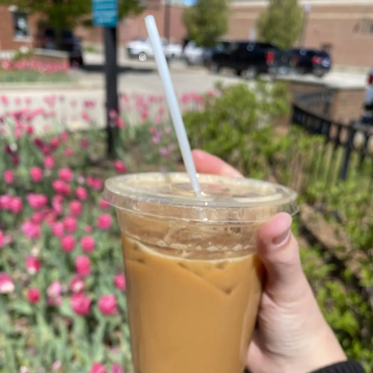 Thai Tea