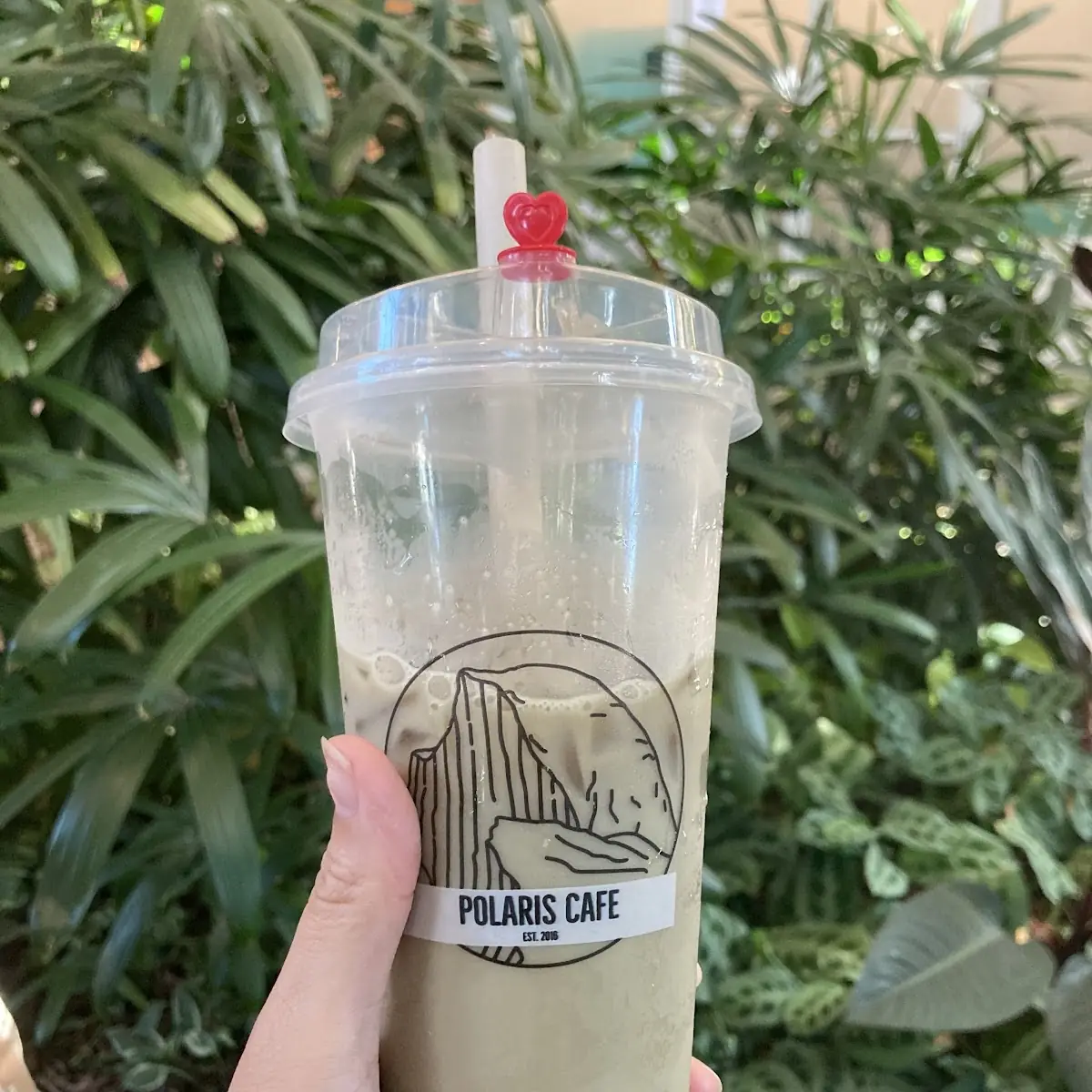 Hong Kong Milk Tea