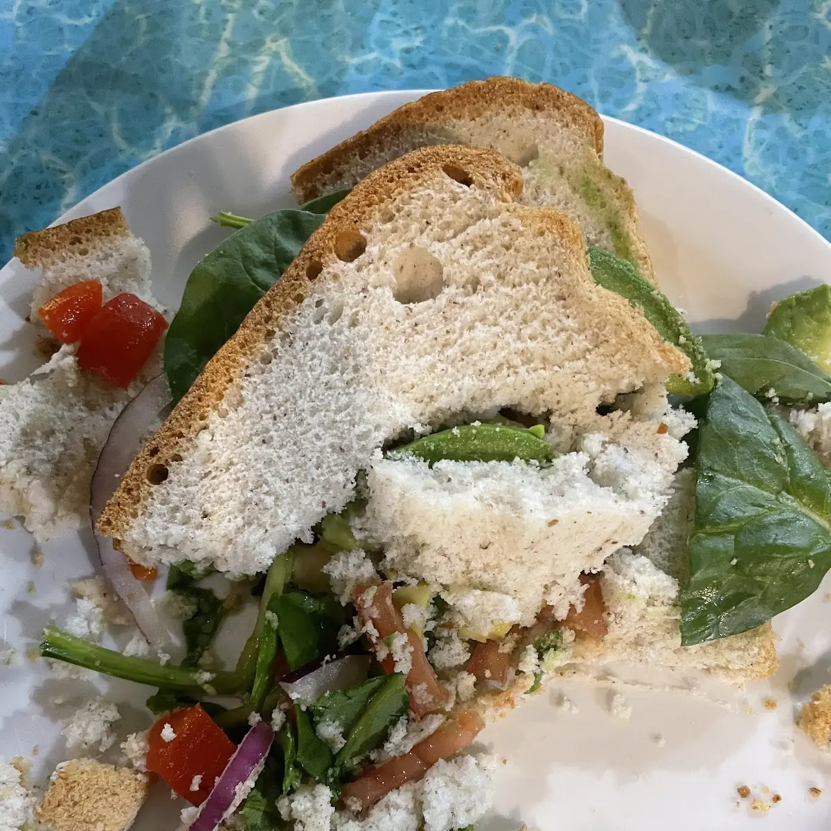 Tuna Sandwich