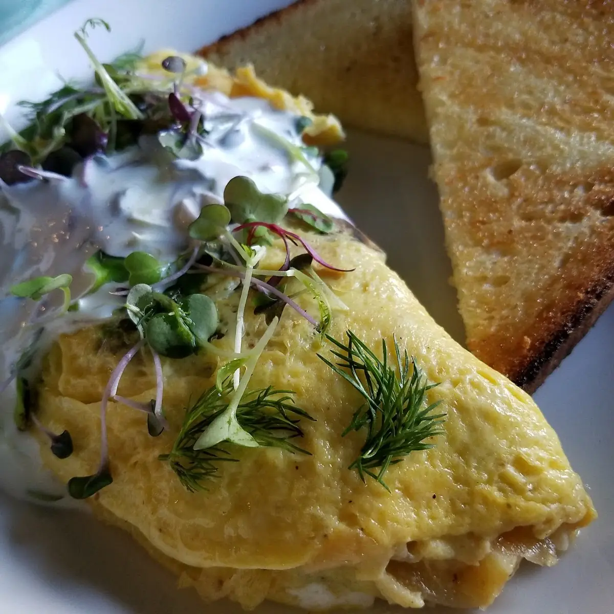 Goat Cheese Omelette