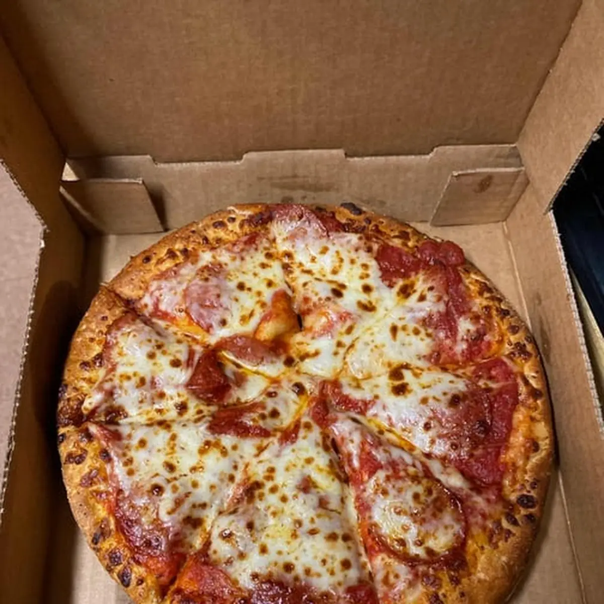 Medium Cheese Pizza