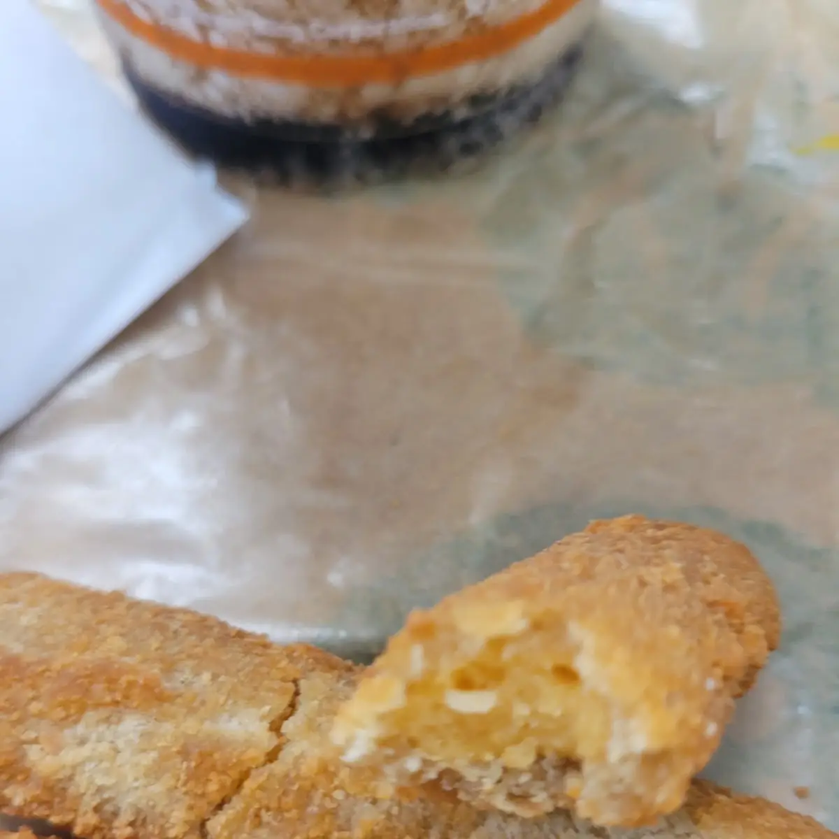 Mozzarella Cheese Sticks