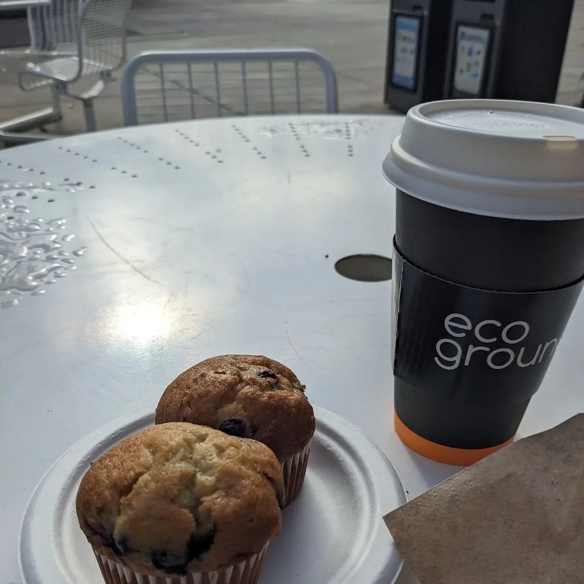 Blueberry Muffin