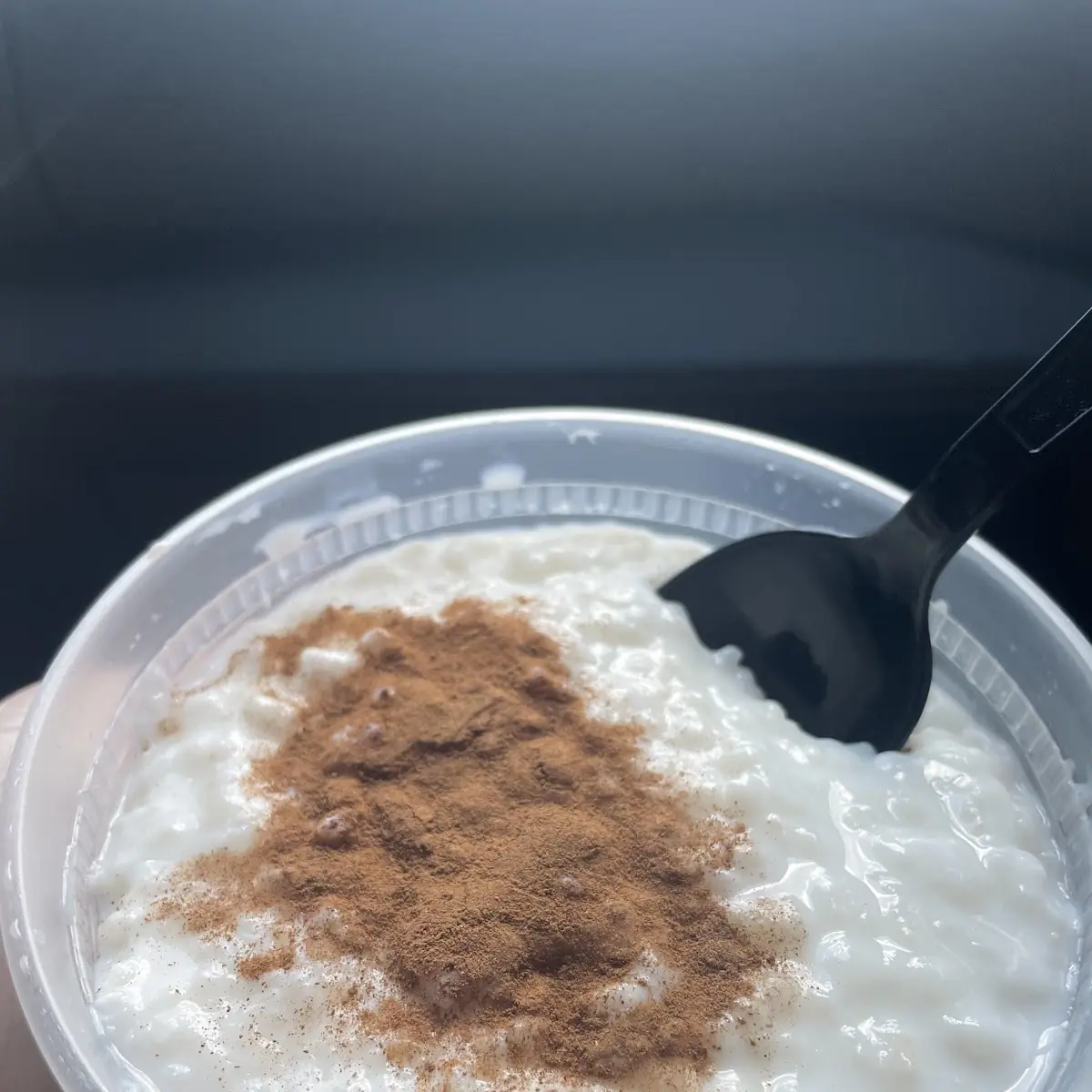 Rice Pudding