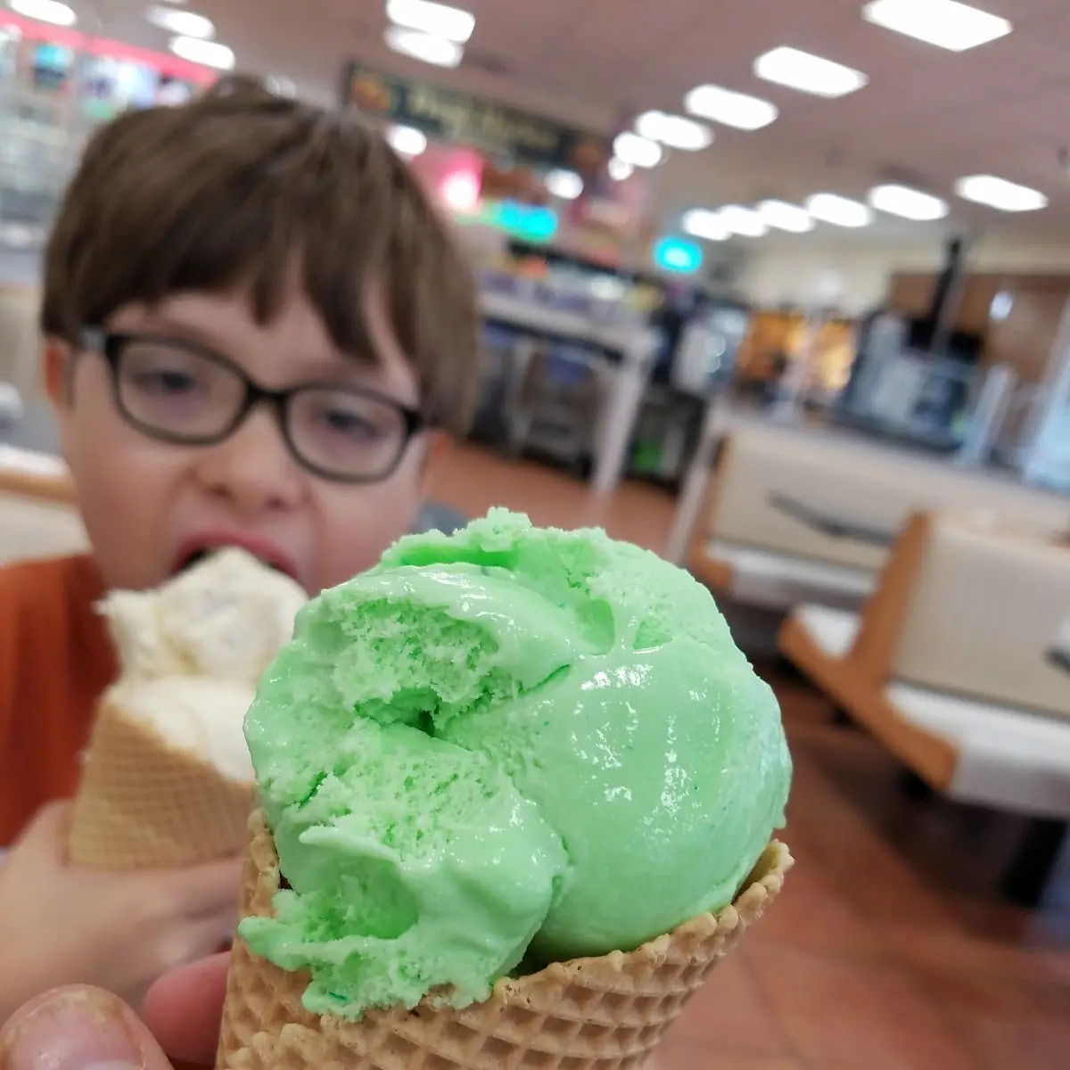 Mint Chocolate Chip Ice Cream Cone
