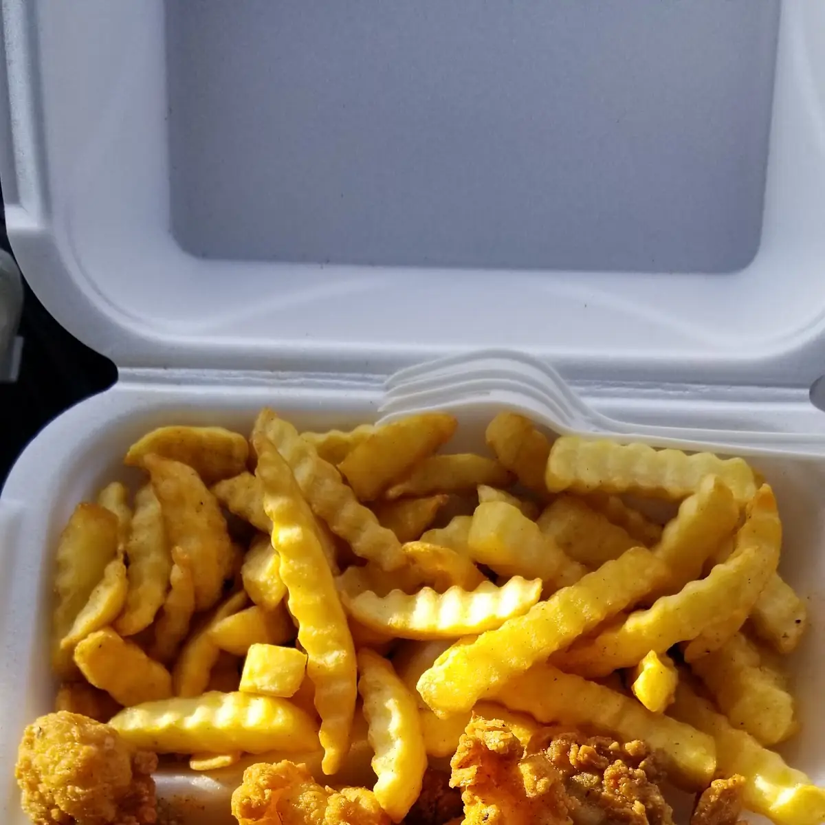 Catfish Nuggets & Fries
