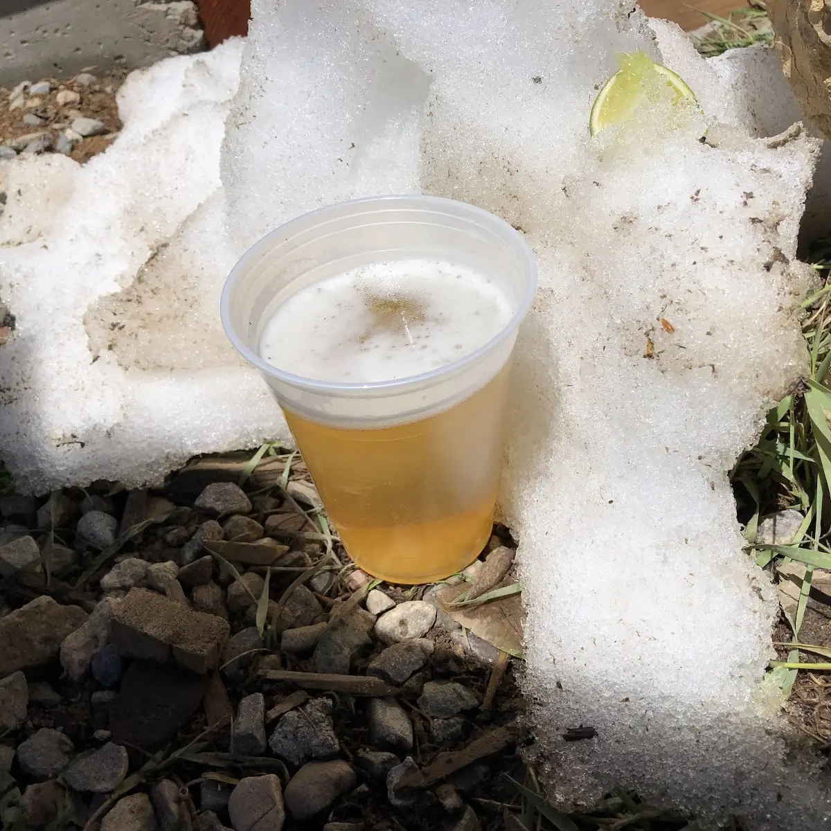Snow Draft Beer