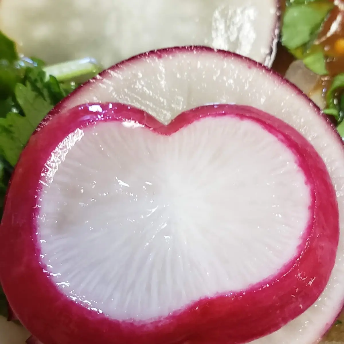 Heart Shaped Radish