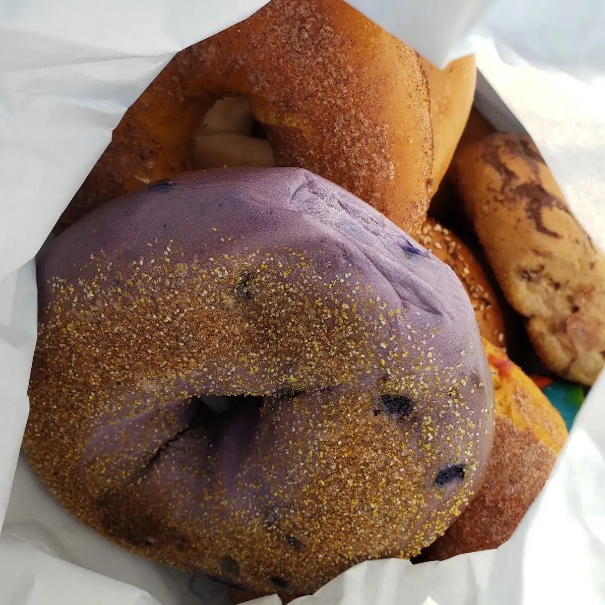 Dozen Bagel Oo