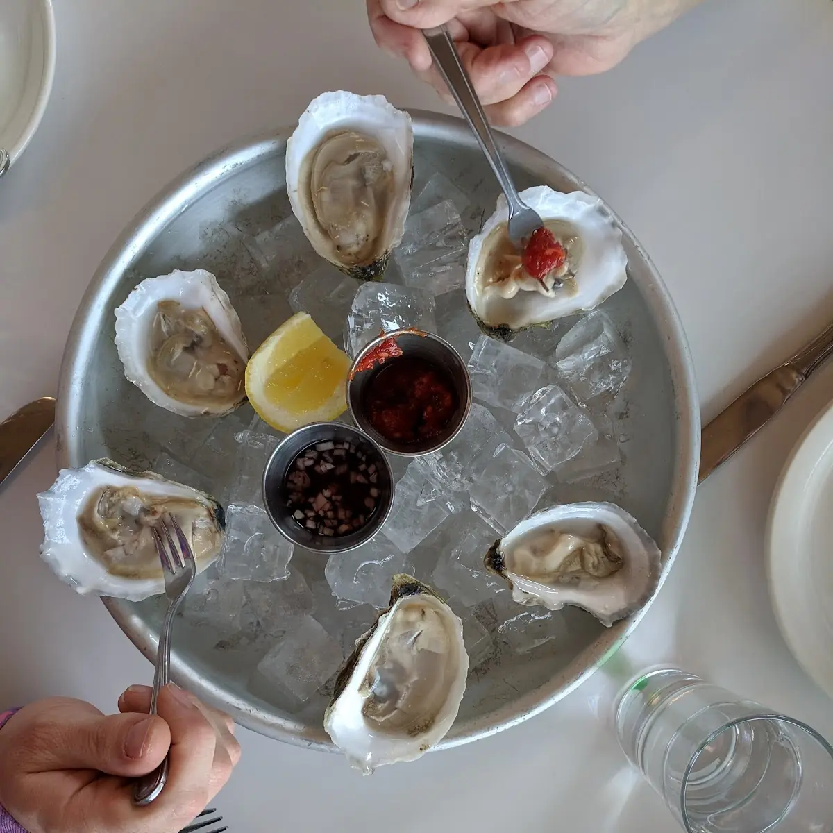 Select Maine Oysters on the Half Shell