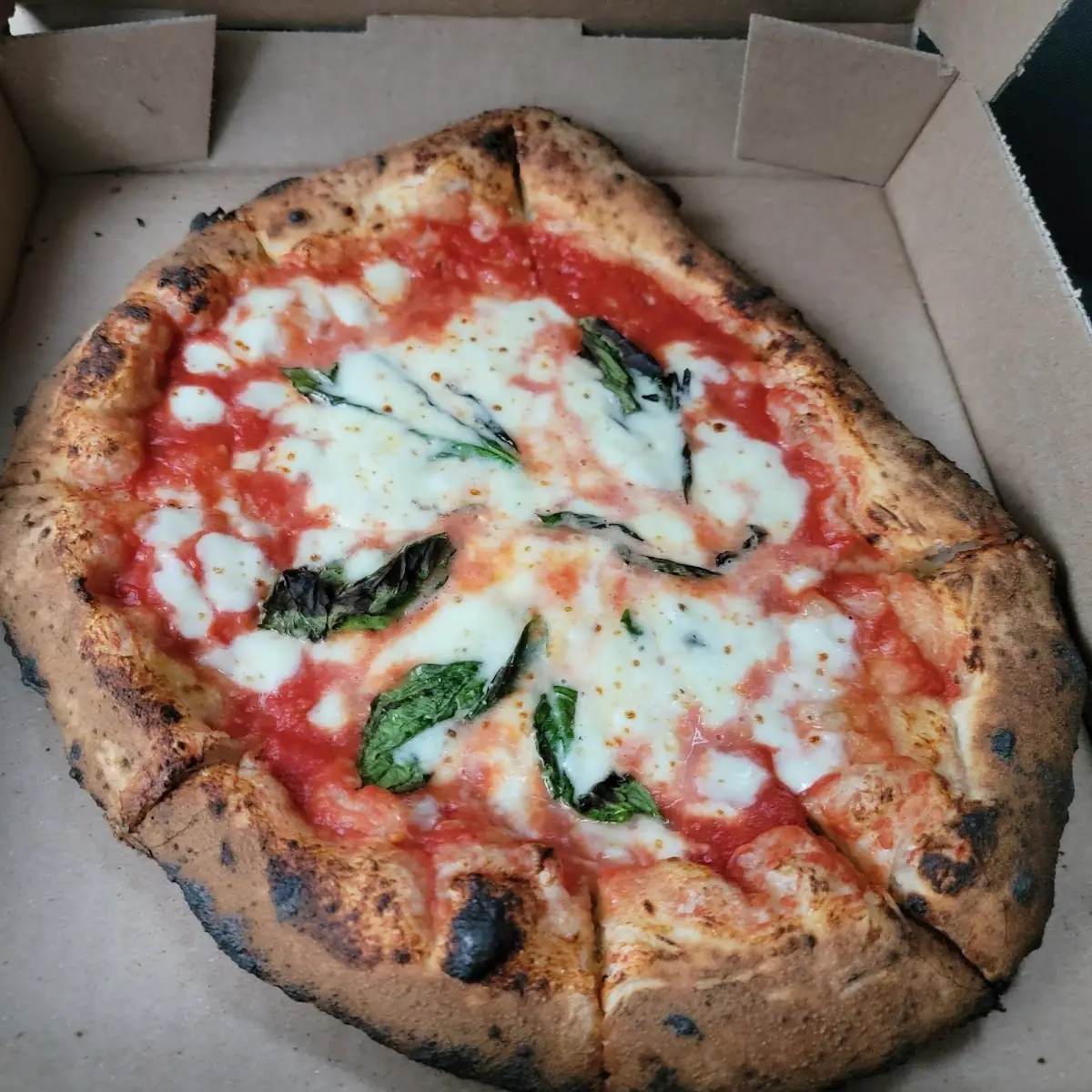 Margherita Pizza