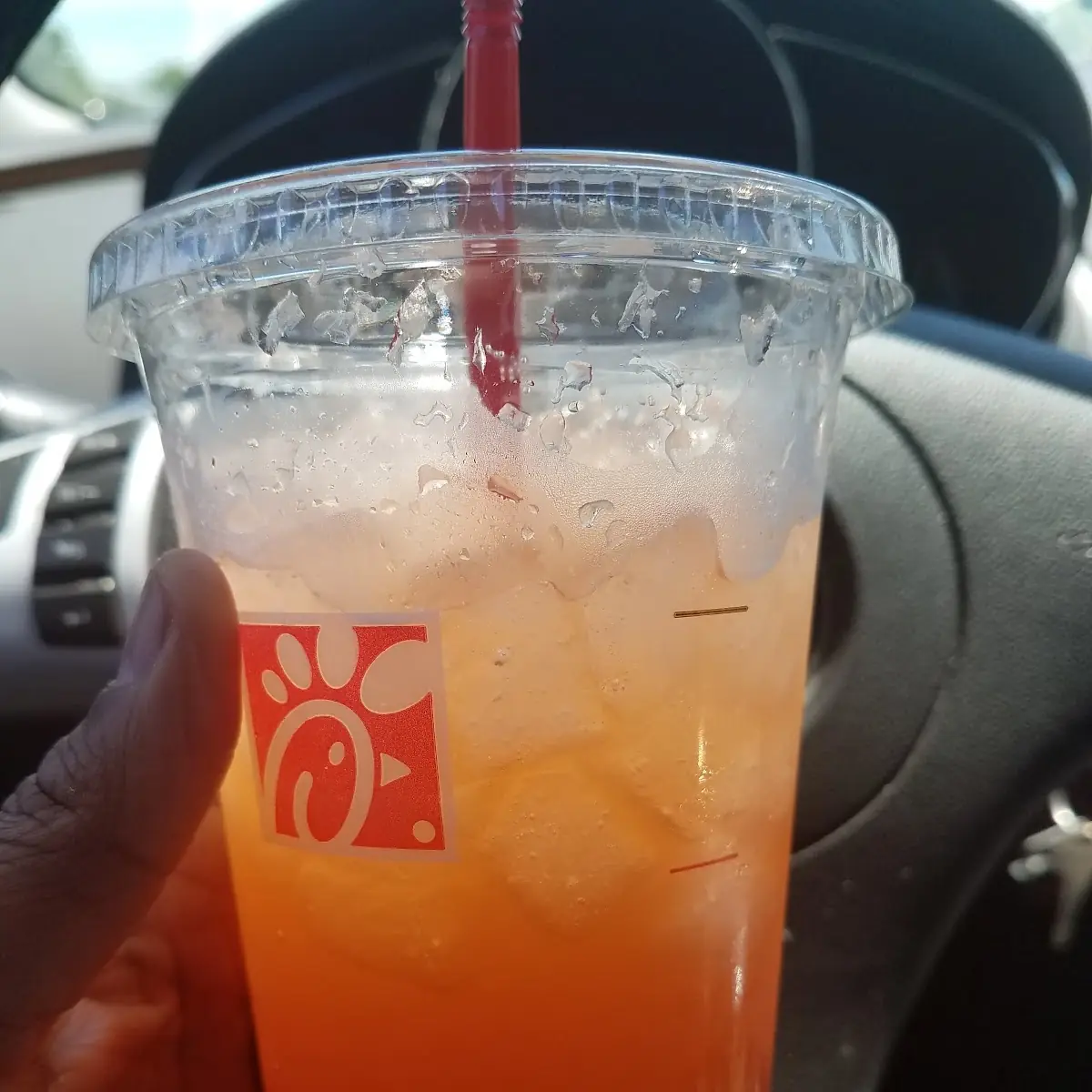 Watermelon Mint Tea