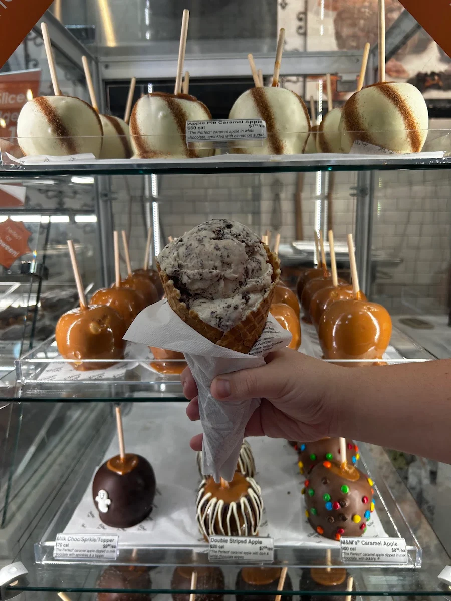 Regular Smores in a Waffle Cone