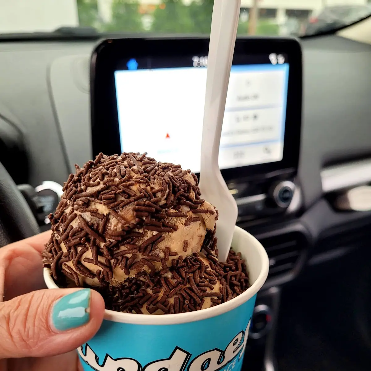 Chocolate Ice Cream