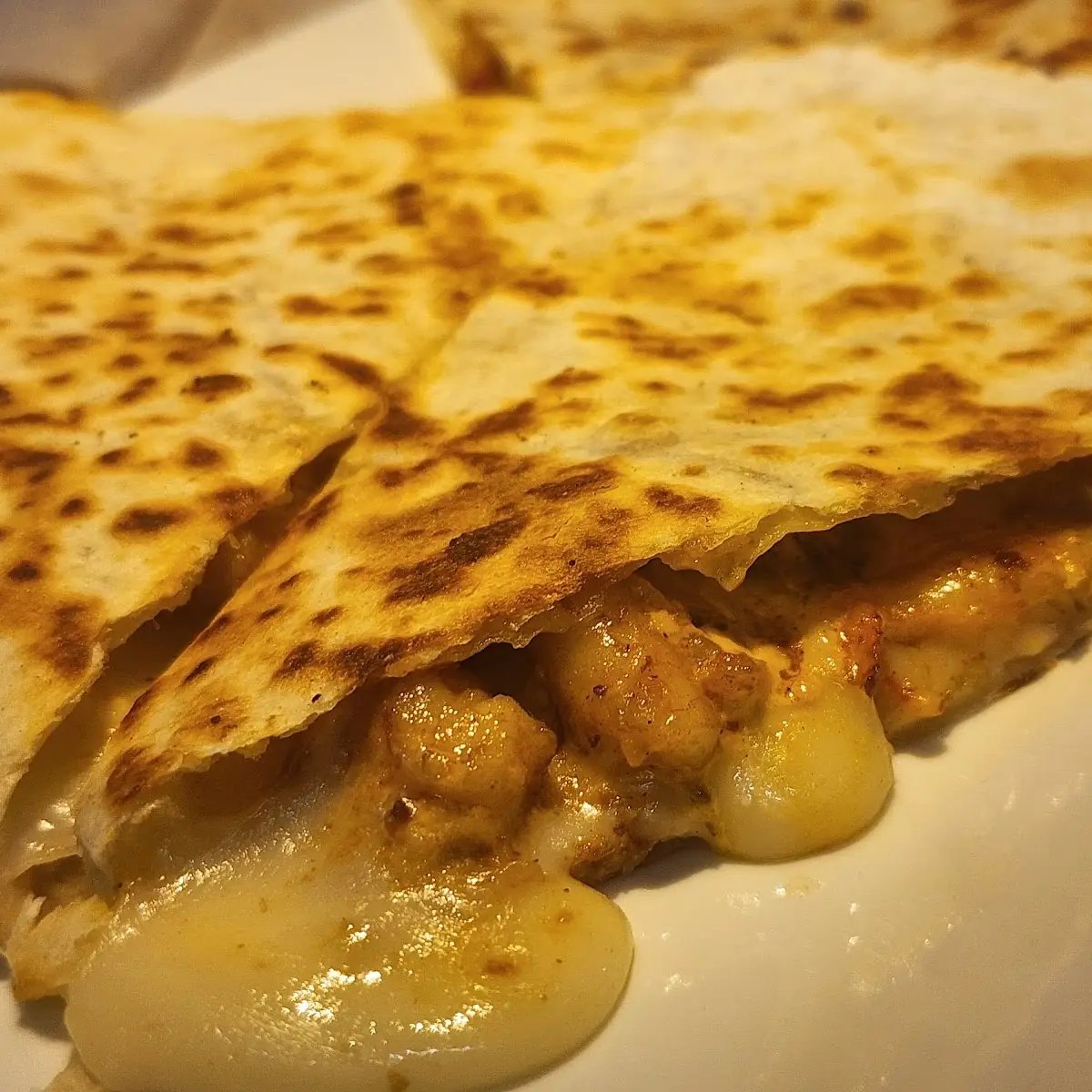 Shrimp and Cheese Quesadilla