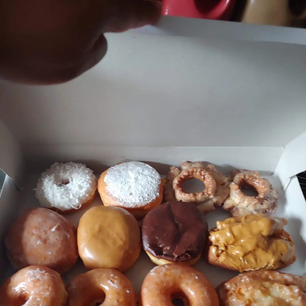 Doughnut