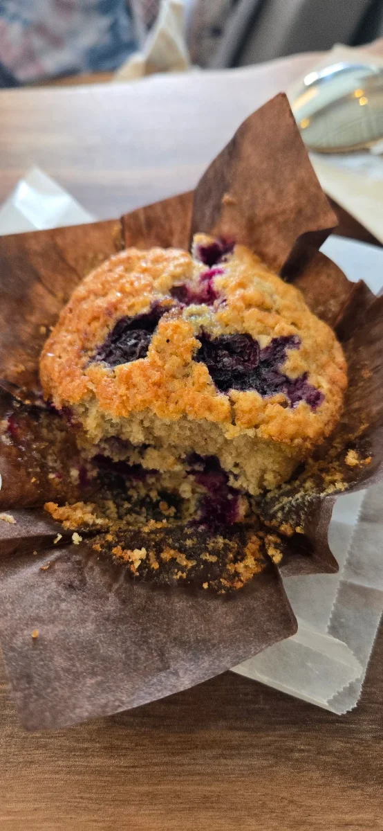 Blueberry Muffin