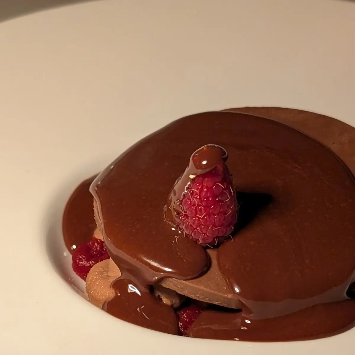 Chocolate Panna Cotta Dessert